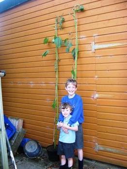 /image/upload/eifion/Blodau_Rhydian_ac_Osian.JPG