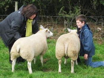 /image/upload/eifion/Edna_Pwll_Mawr.JPG