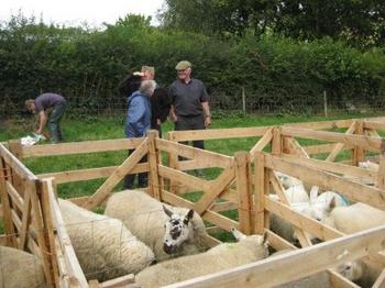 /image/upload/eifion/John_Plas_Pigot_4.JPG