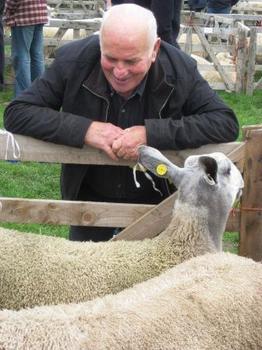 Maldwyn a defaid.JPG