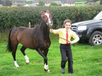 /image/upload/eifion/Rhedeg_efo_merlen.JPG
